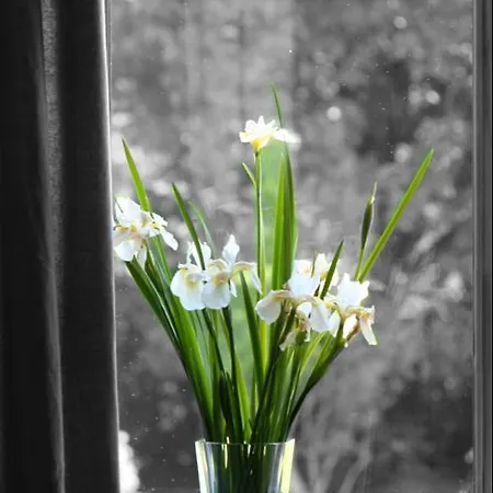 Alojamento de Acomodação e Pequeno-almoço Alla Gazza Ladra 3*