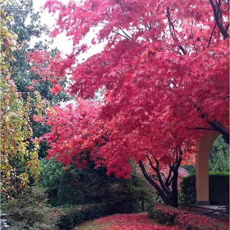 Bed & Breakfast Alla Gazza Ladra 3*